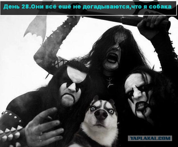 Подборка интересных и смешных картинок