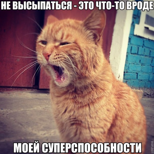 Прикольные животные