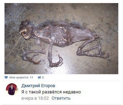 Прикольные картинки