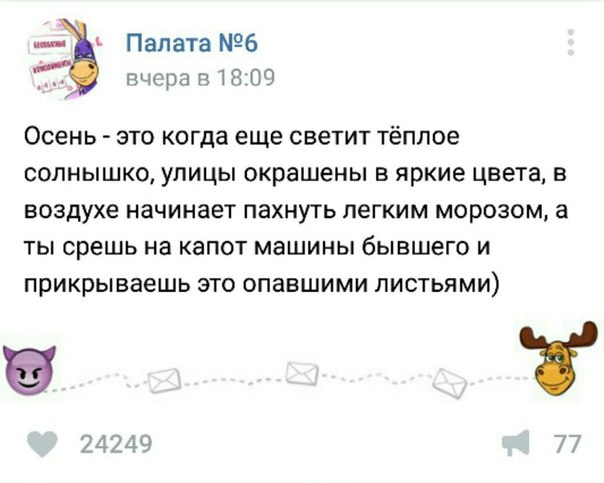 Тупые люди. Тупые животные. Тупые высказывания. Все тупые!