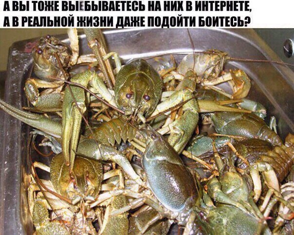 Абсурд и нарко трэш на новую неделю