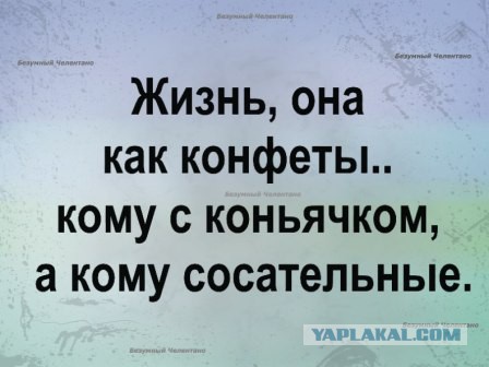 Смешные комментарии 05.02.2017