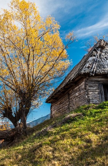 Моменты, запечатлённые на фото и просто позитив 5