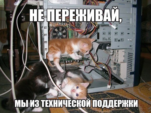 Очередная подборка школьной наркомании из соц.сетей