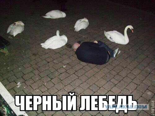 Картинки всякие для поднятия настроения