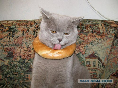 Подборка интересных и веселых картинок