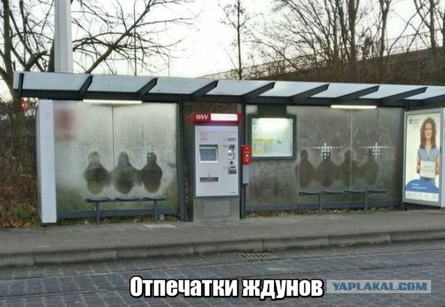 Загадочная смерть в отеле Plaza. Так что же произошло в номере 2805?