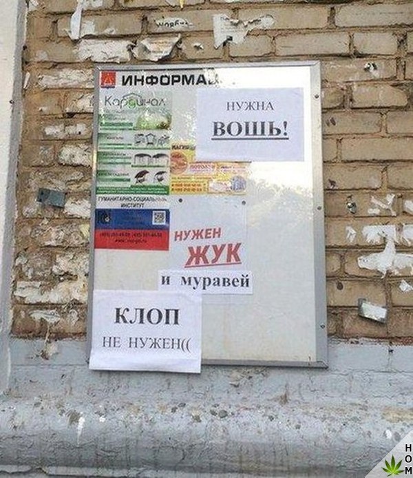 Прикольные надписи и объявления