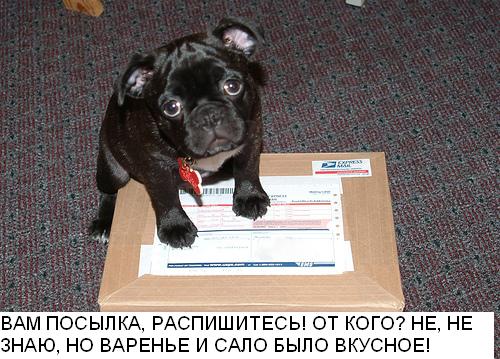 Вам письмо!