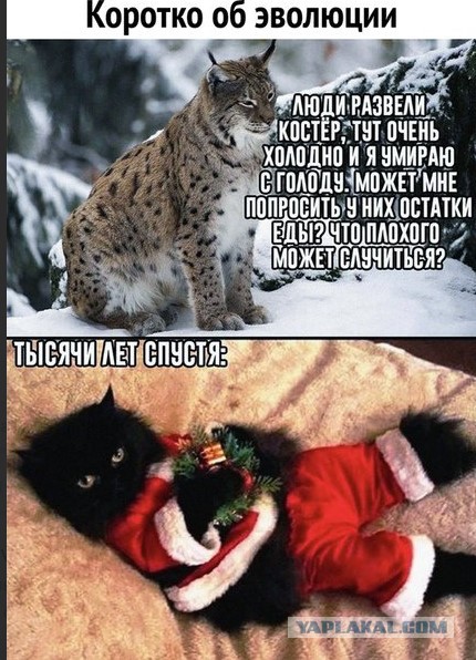 Первая финансовая неудача