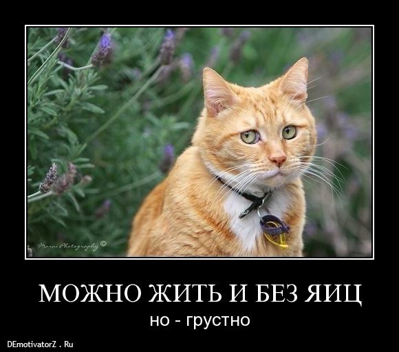 Нифинасебе! И другие выражения лиц