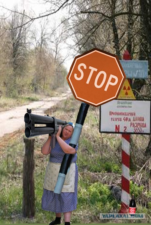 фотожаба: с бревном