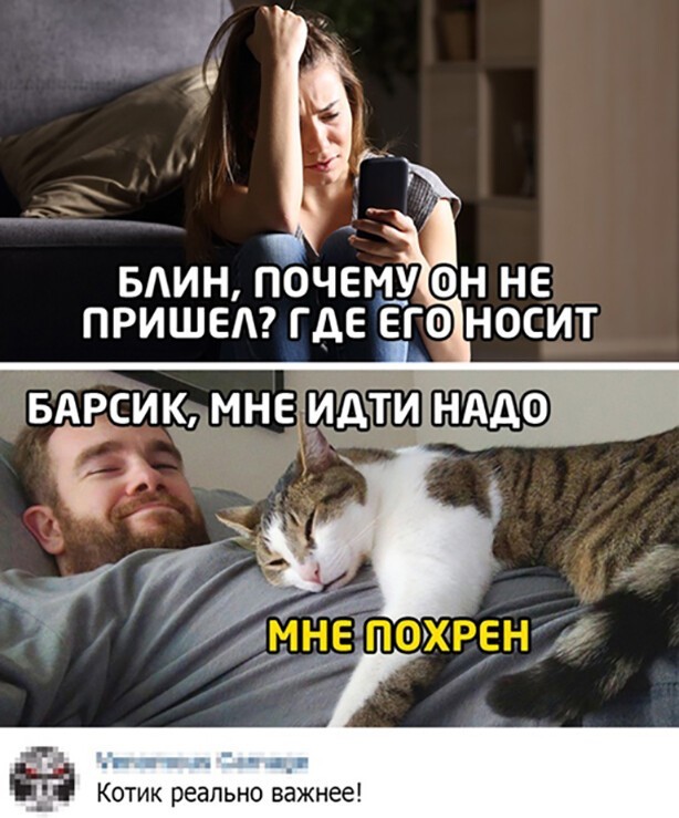 Картинки и мемы для настроения 029