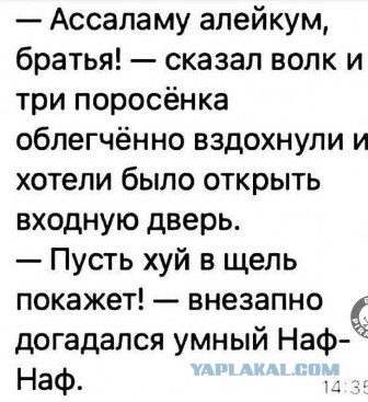 Аморальная деградация