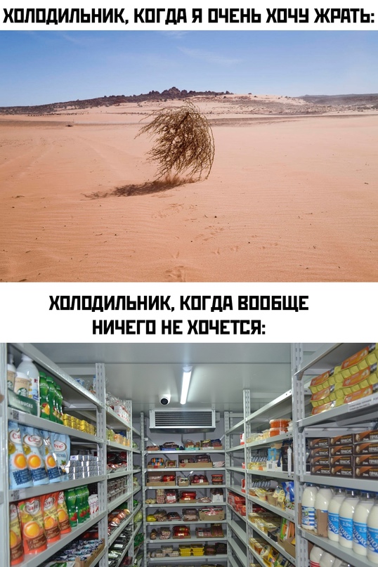 Весёлый полтишок 31.07