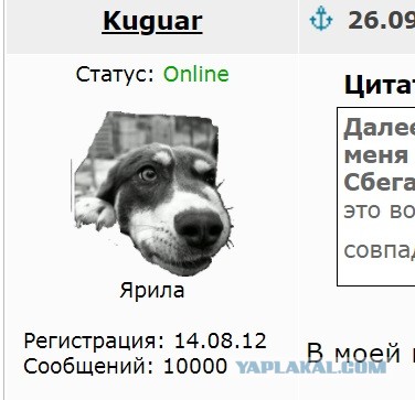 Со Сбером неприятная ситуация у меня приключилась