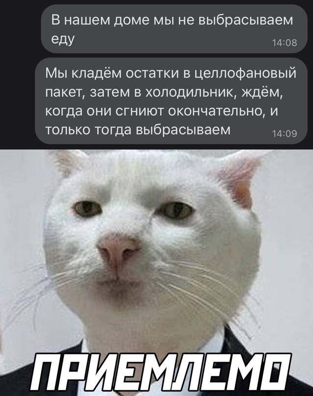 Весёлый полтишок 28.03.22