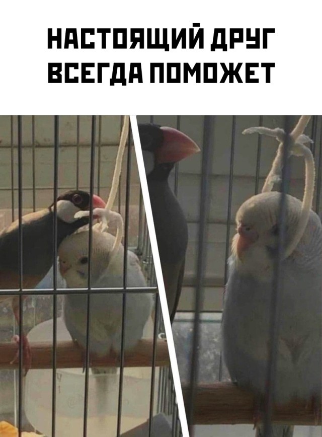 Так себе картинки 01.04.22