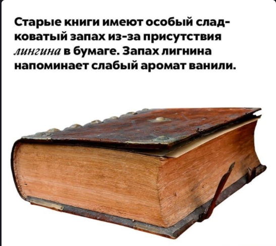 Картинки с надписями и всякие жизненные фразы