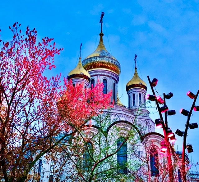 Пандемия. Коронавирус и съехавшие крыши. Россия и мир. Часть 33.