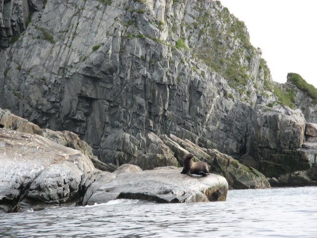 Петропавловск-Камчатский и его окрестности...