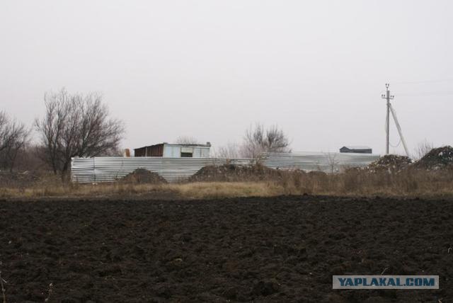 Житница, вольница, кладовая чёрного золота...
