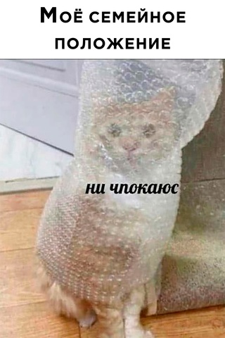 Картинки и мемы для настроения - 167