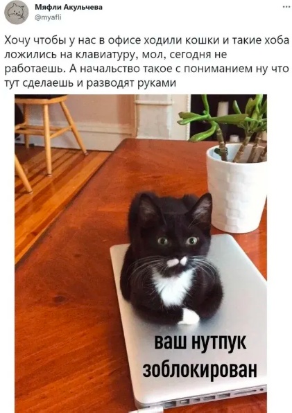 Cмешно