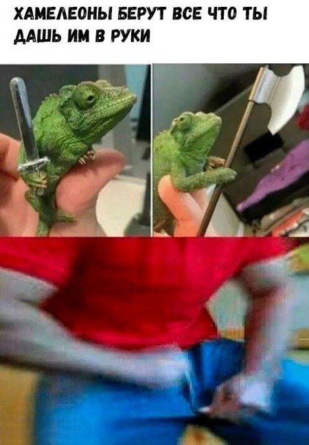 Отряд быстрого деградирования