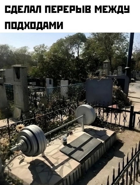 Весёлый полтшок 09.05.24