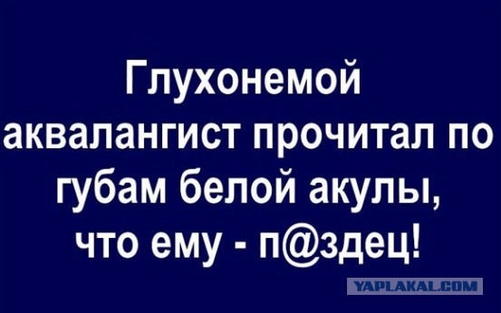 Деградируем и подпеваем - v. 2,0
