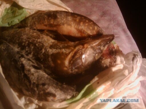 Рыбалка с точки зрения городского парня :)