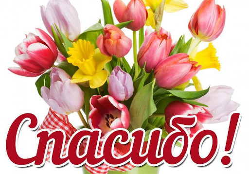 «Ай да Пушкин!». Итоги конкурса стихов