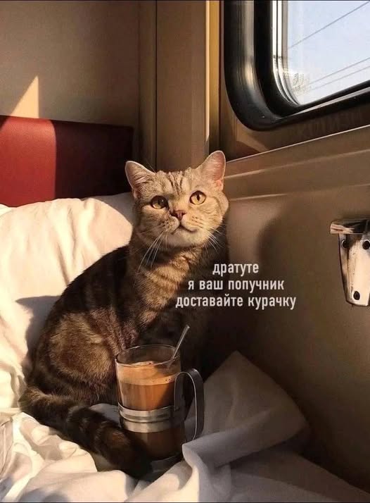 Веселые картинки во Всемирный день энергоэффективности (05.03)
