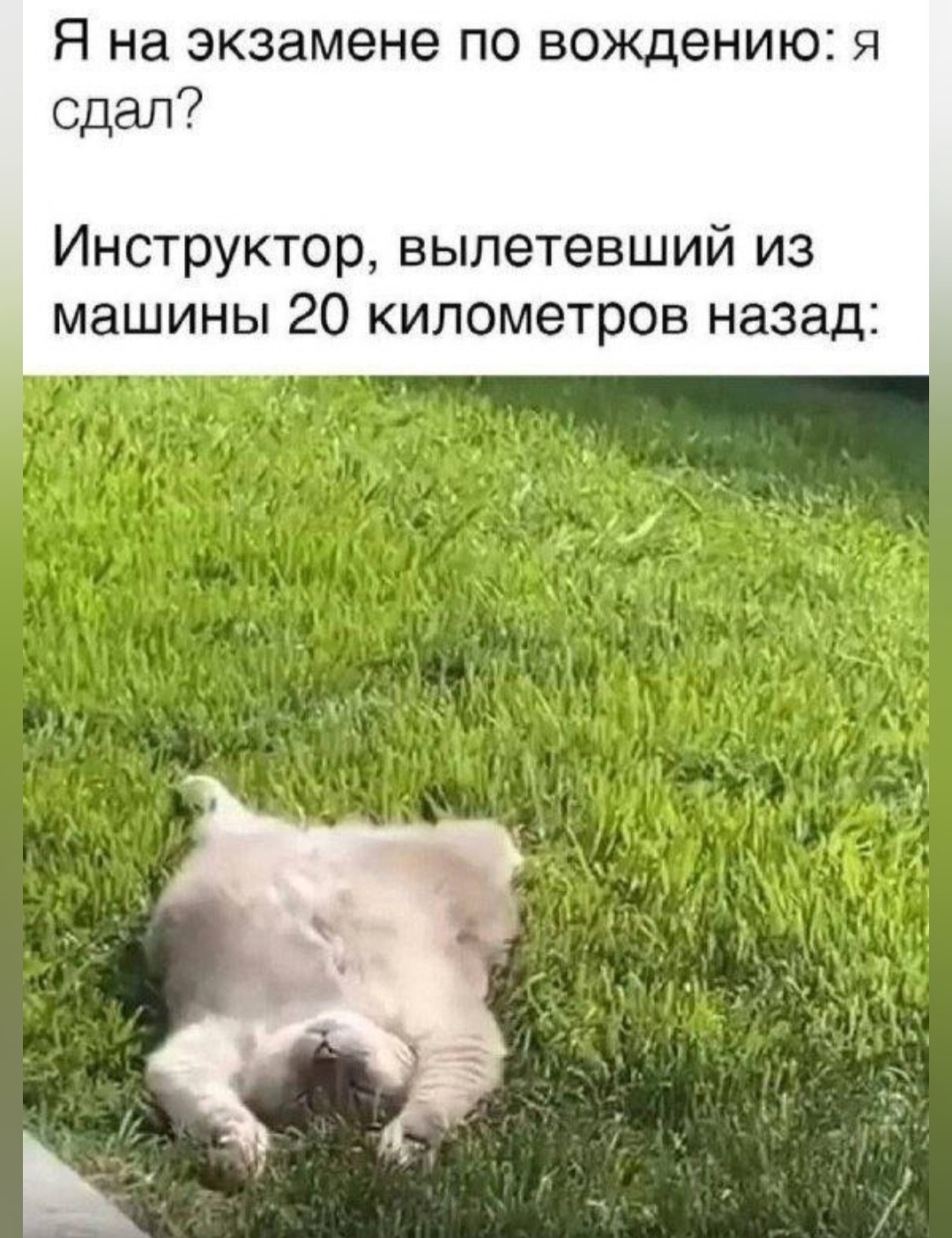 20133448.jpg