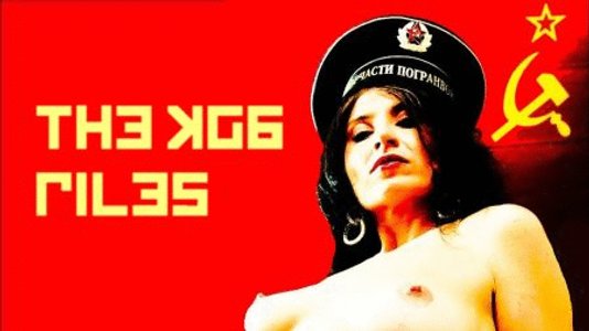 В РФ предложили штрафовать за поиск порнографии