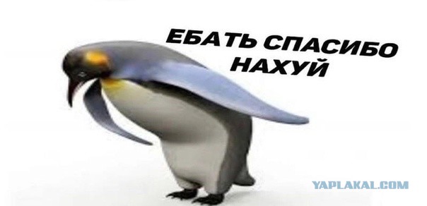 Вот и запретили правый руль