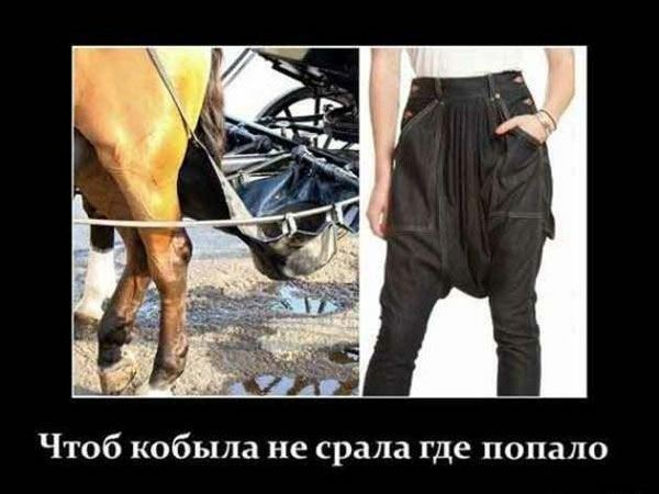 Субботние картинки
