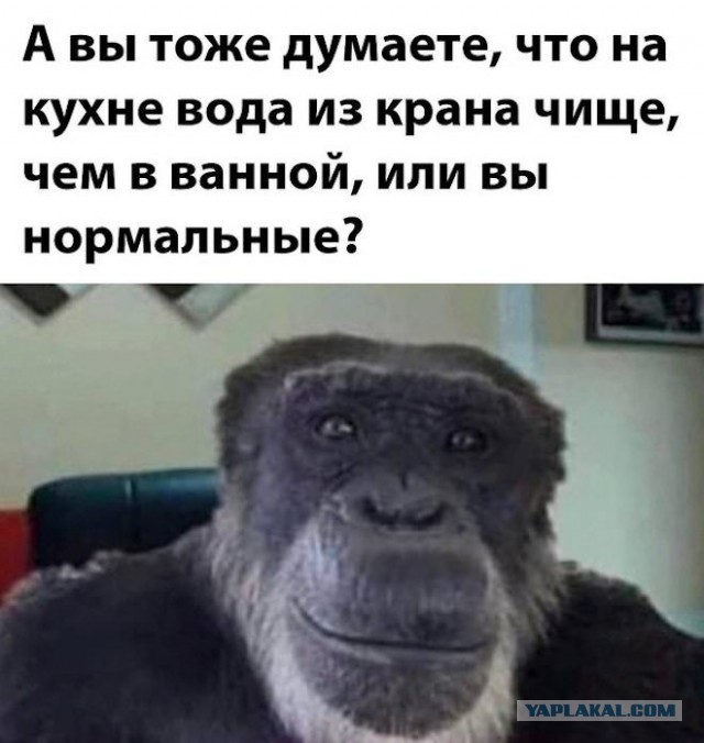 Веселые картинки в понедельник (16.03)