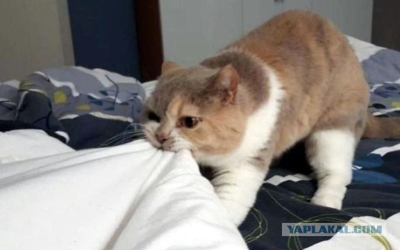 Да не очень то и хотелось