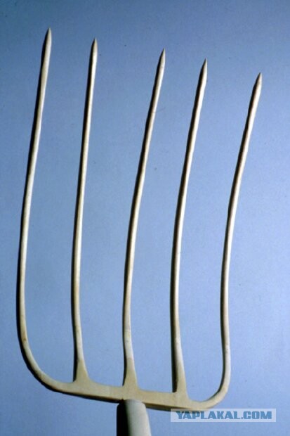 Убивший байкера на рынке под Москвой получил год