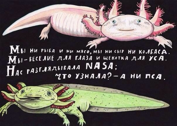 Легкой наркомании пост