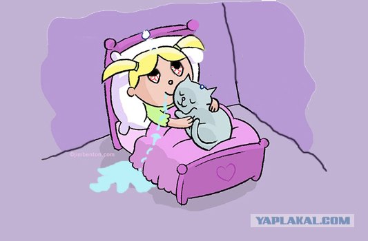 О чем мечтают котики