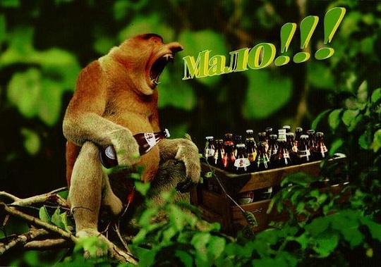 Плюсомет со шпалометом