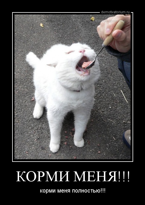 Демотиваторов пост