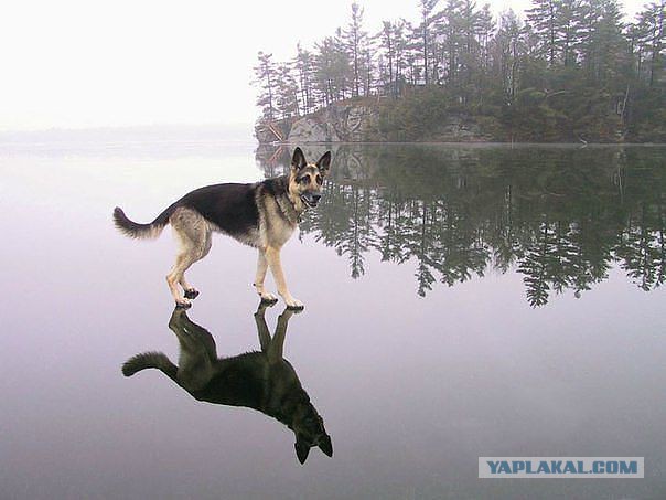 Лучшие фотографии года