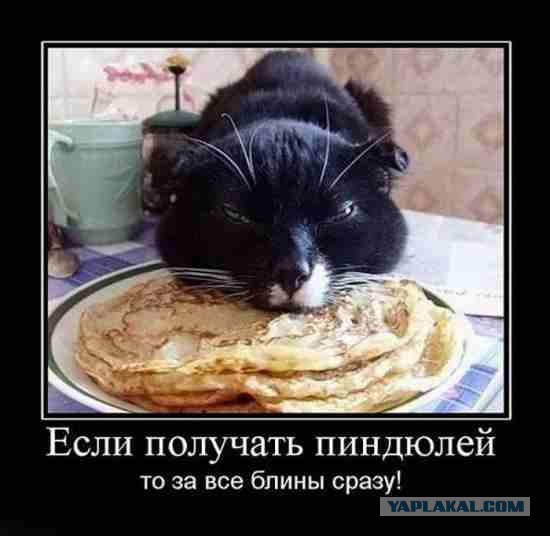 Кошачий Hardcore