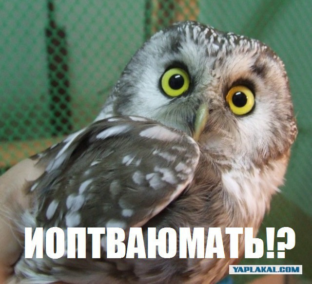 Привет из соцсетей