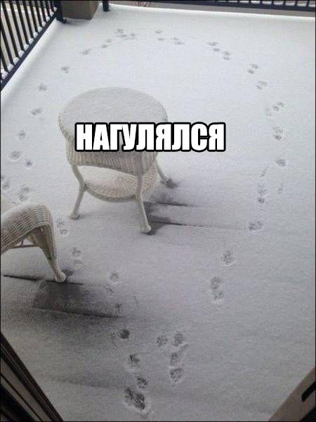 Картинки разные