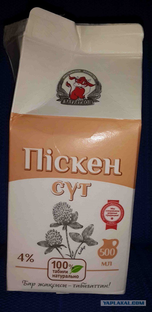 Забавный Казахстан.